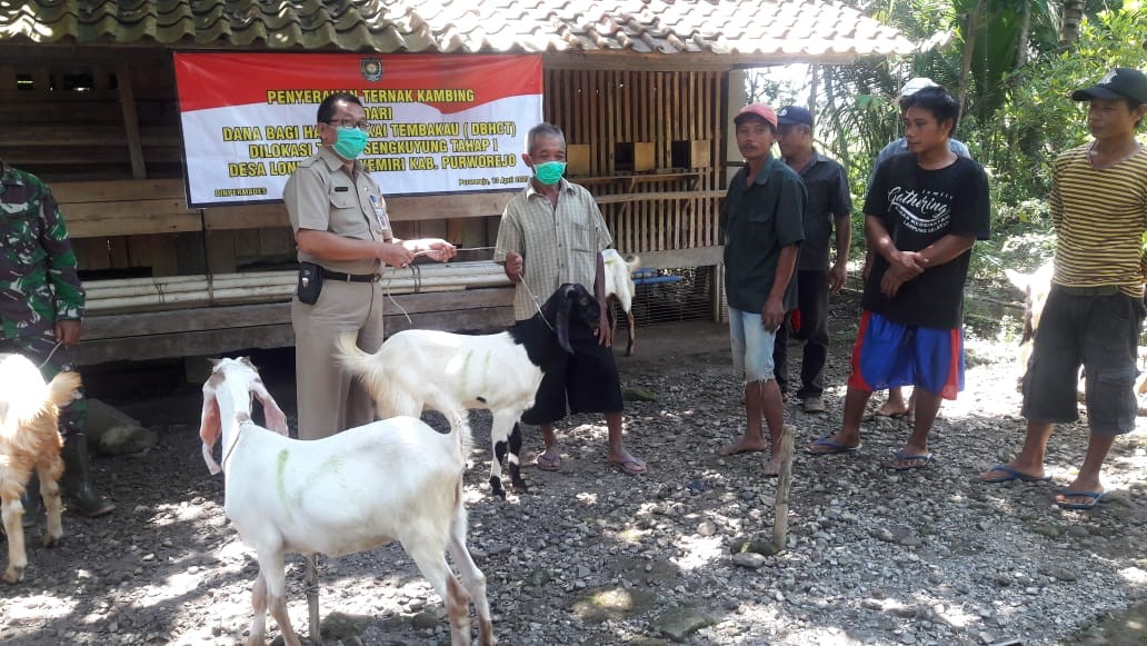 Penyerahan ternak kambing dsri Dana Bagi Hasil Cukai Tembakau (DBHCT) Kab. Purworejo